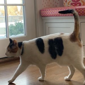 Meet your Posher, Ellie